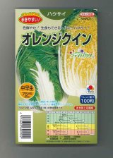 画像: 送料無料　[白菜]　オレンジクイン　ペレット　100粒　タキイ種苗(株)