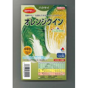 画像: [白菜]　オレンジクイン　ペレット　１００粒　　タキイ種苗（株）　