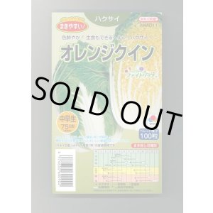 画像: 送料無料 [白菜] オレンジクイン ペレット種子 100粒 タキイ種苗(株)