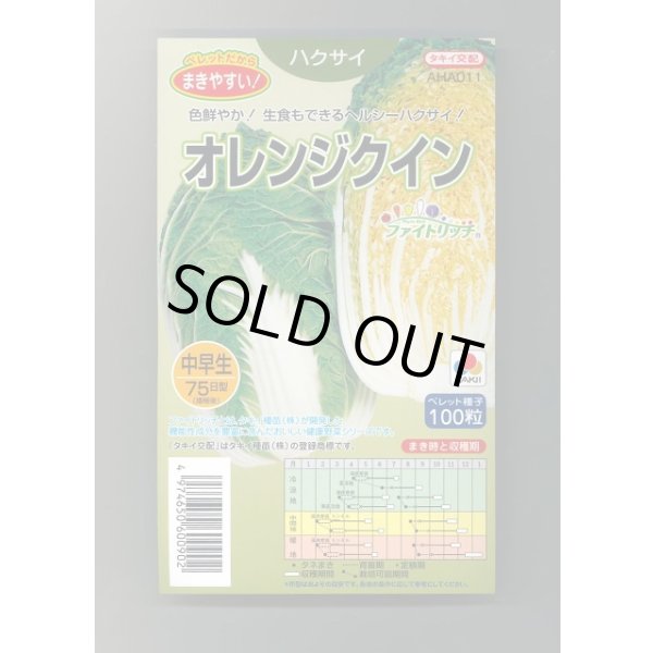 画像1: 送料無料 [白菜] オレンジクイン ペレット種子 100粒 タキイ種苗(株) (1)