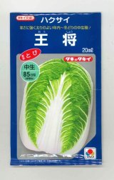 画像: [白菜] 王将 20ml タキイ種苗(株)