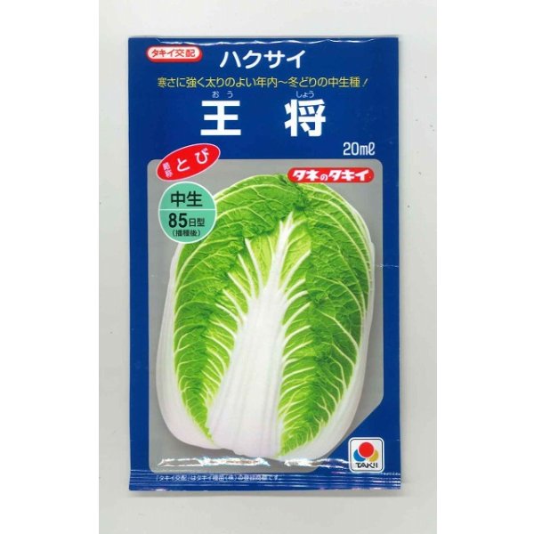 画像1: [白菜] 王将 20ml タキイ種苗(株) (1)