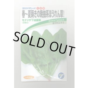 画像: 送料無料　[ほうれんそう]　モナリザ7法蓮草　30ml　(株)タカヤマシード