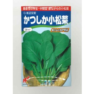 画像: 送料無料　[小松菜]　かつしか　20ml　渡辺農事（株）
