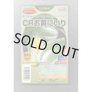 画像: 送料無料　[白菜]　CRお黄にいり　100粒　ペレット種子　タキイ種苗(株)
