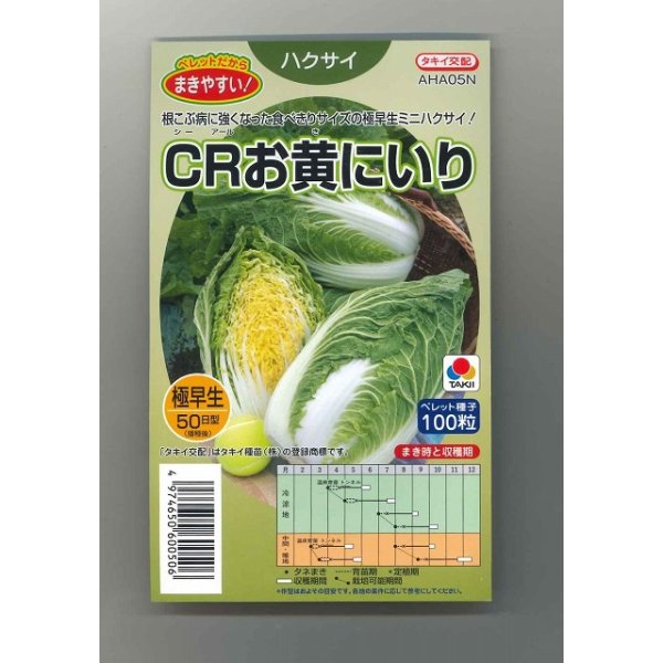 画像1: [白菜]　CRお黄にいり　100粒 ペレット種子　タキイ種苗（株） (1)