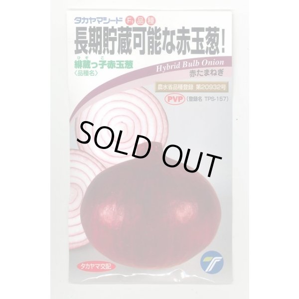 画像1: 送料無料　[たまねぎ]　緋蔵っ子赤玉葱　20ml　(株)タカヤマシード (1)