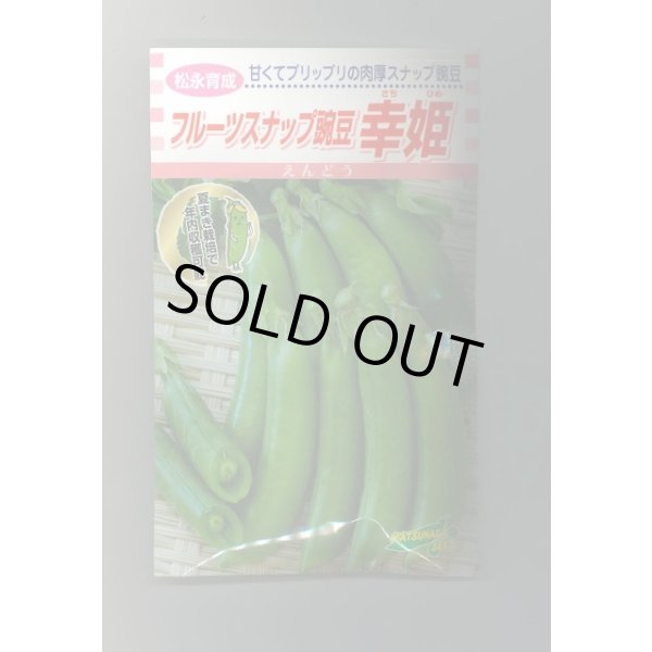 画像1: 送料無料　[えんどう]　フルーツスナップ豌豆　幸姫　20ml　松永種苗(株) (1)