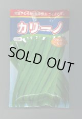 画像: 送料無料　[いんげん]　カリーノ　1dl　渡辺農事（株）