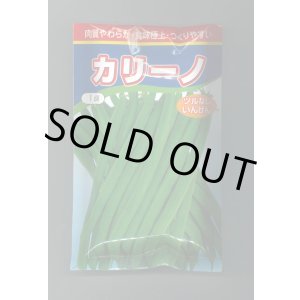 画像: 送料無料　[いんげん]　カリーノ　1dl　渡辺農事（株）