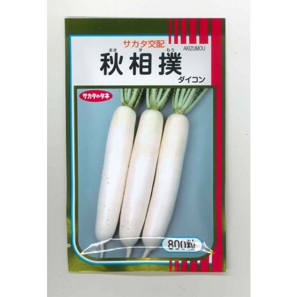 画像1: 送料無料　[大根]　秋相撲　800粒　(株)サカタのタネ (1)