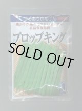 画像: 送料無料　[いんげん]　プロップキング　1dl　(株)サカタのタネ
