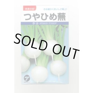画像: 送料無料　[かぶ]　つやひめ蕪　3ml（約700粒）　(株)タカヤマシード