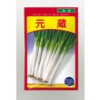 画像1: 送料無料　[ねぎ]　元蔵　20ml　武蔵野種苗園 (1)