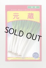 画像: 送料無料　[ねぎ]　元蔵　20ml　武蔵野種苗園