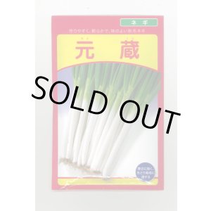 画像: 送料無料　[ねぎ]　元蔵　20ml　武蔵野種苗園