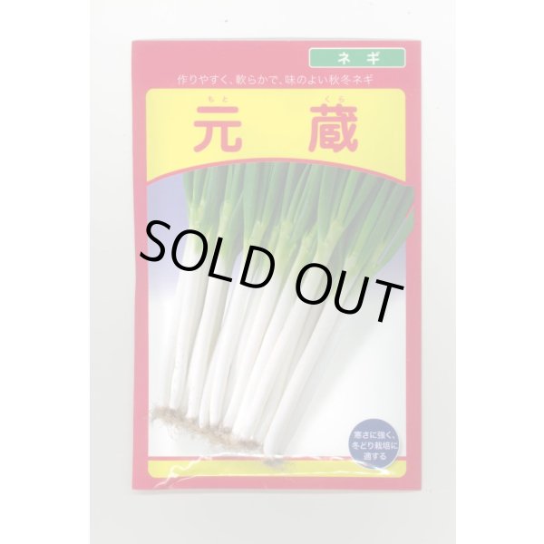 画像1: 送料無料　[ねぎ]　元蔵　20ml　（株）武蔵野種苗園 (1)