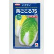 画像1: [白菜]　黄ごころ75　20ml　タキイ種苗（株） (1)