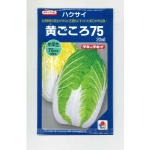 画像: 送料無料　[白菜]　黄ごころ75　20ml　タキイ種苗(株)