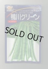 画像: [いんげん]　鴨川グリーン　1L　ヴィルモランみかど（株）