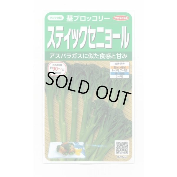 画像1: 送料無料　[ブロッコリー]　スティックセニョール　約95粒　(株)サカタのタネ　実咲450（002931） (1)
