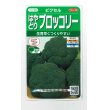 画像1: [ブロッコリー]　ピクセル　約100粒　サカタのタネ（株）　実咲400 (1)