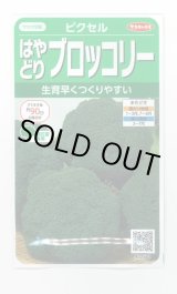 画像: 送料無料　[ブロッコリー]　ピクセル　約100粒　(株)サカタのタネ　実咲450（002927）
