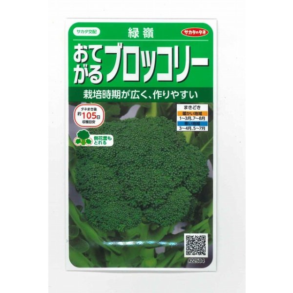 画像1: 送料無料　[ブロッコリー]　緑嶺　約110粒　(株)サカタのタネ　実咲450（002930） (1)