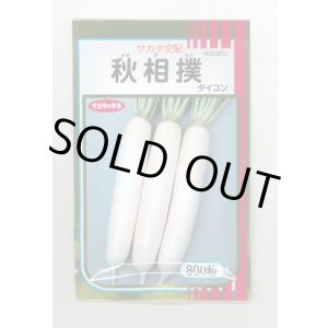 画像: 送料無料　[大根]　秋相撲　8千粒　(株)サカタのタネ
