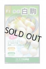 画像: 送料無料　[かぶ]　白駒蕪　4ml　（株）大和農園