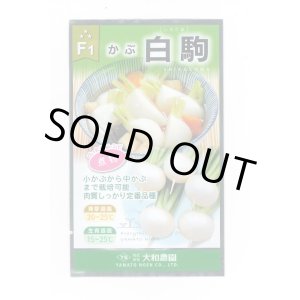 画像: 送料無料　[かぶ]　白駒蕪　4ml　（株）大和農園