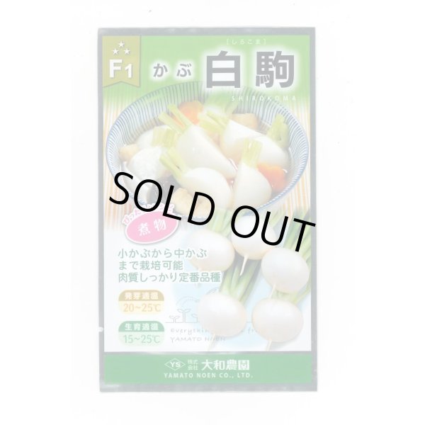 画像1: 送料無料　[かぶ]　白駒蕪　4ml　（株）大和農園 (1)