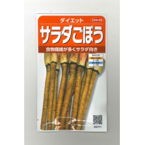 画像: [牛蒡]　ダイエット　約250粒　サカタのタネ（株）　実咲300