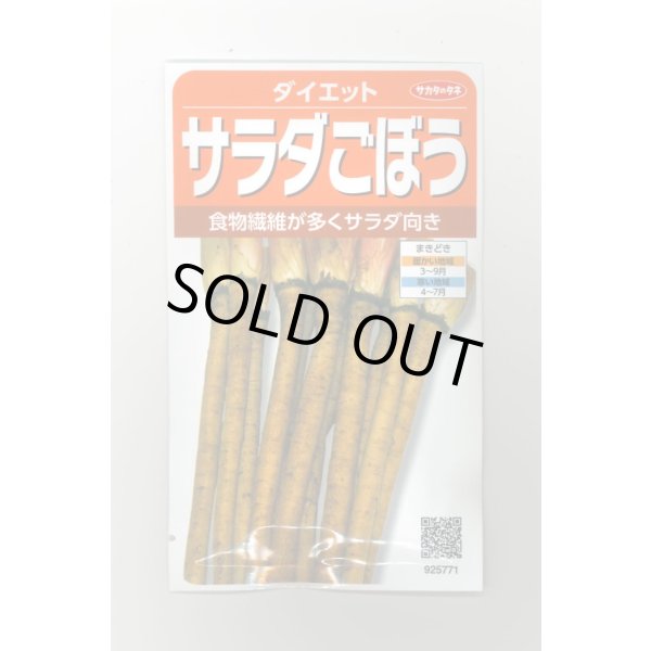 画像1: 送料無料　[牛蒡]　ダイエット　約250粒　(株)サカタのタネ　実咲350（003120） (1)