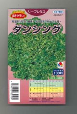 画像: 送料無料　[レタス]　ダンシング　ペレット130粒　タキイ種苗(株)