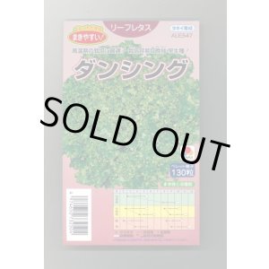 画像: 送料無料　[レタス]　ダンシング　ペレット130粒　タキイ種苗(株)