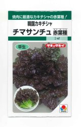 画像: 送料無料　[レタス]　チマサンチュ　赤葉種　20ml　タキイ種苗