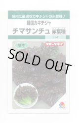 画像: 送料無料　[レタス]　チマサンチュ　赤葉種　20ml　タキイ種苗