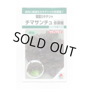 画像: 送料無料　[レタス]　チマサンチュ　赤葉種　20ml　タキイ種苗