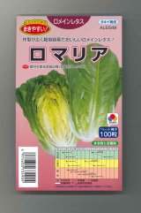 画像: 送料無料　[レタス]　ロメインレタス　ロマリア　100粒　ペレット種子　タキイ種苗(株)