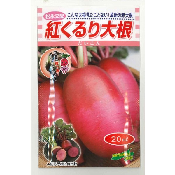 画像1: 送料無料　[大根]　紅くるり　20ml　松永種苗(株) (1)