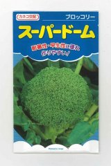 画像: [ブロッコリー] スーパードーム 20ml カネコ種苗（株）