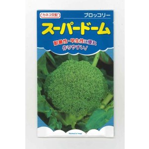 画像: [ブロッコリー] スーパードーム 20ml カネコ種苗（株）