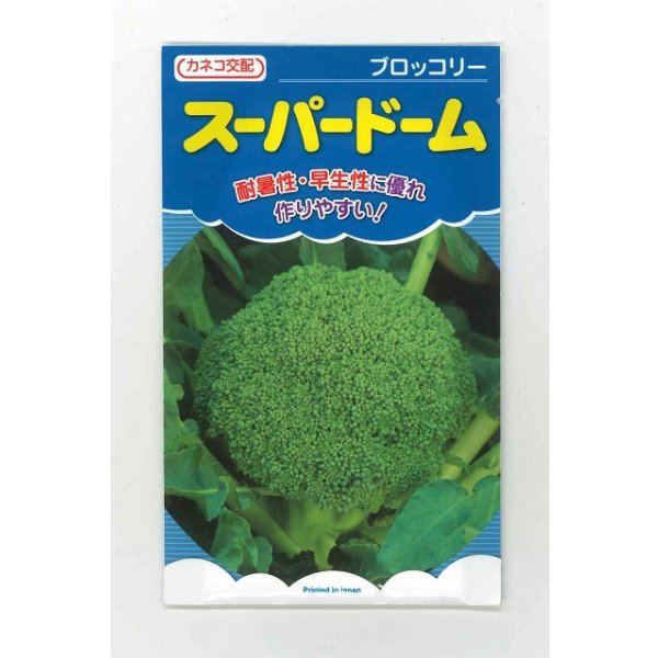 画像1: [ブロッコリー] スーパードーム 20ml カネコ種苗（株） (1)