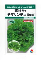 画像: 送料無料　[レタス]　チマサンチュ　青葉種　20ml　タキイ種苗