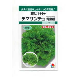 画像: [レタス] チマサンチュ 青葉種　20ml　タキイ種苗　