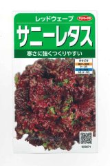 画像: 送料無料　[レタス]　レッドウェーブ　約1200粒　(株)サカタのタネ　実咲350（003031）