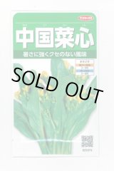 画像: 送料無料　[葉物]　中国菜心　約2200粒　(株)サカタのタネ　実咲250（002997）
