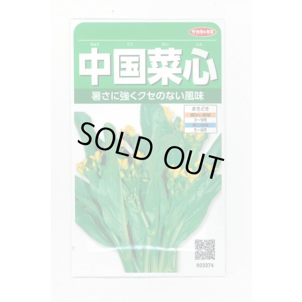 画像1: 送料無料　中国菜心　約2200粒　(株)サカタのタネ　実咲250（002997） (1)