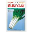 画像1: [ねぎ]　SUKIYAKI　20ｍｌ　カネコ種苗 (1)